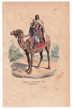 Campagne d'Egypte Régiment Dromadaire Napoléon Bonaparte Dromedary Egypt 1840