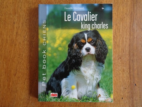 Chien cavalier king - le,
