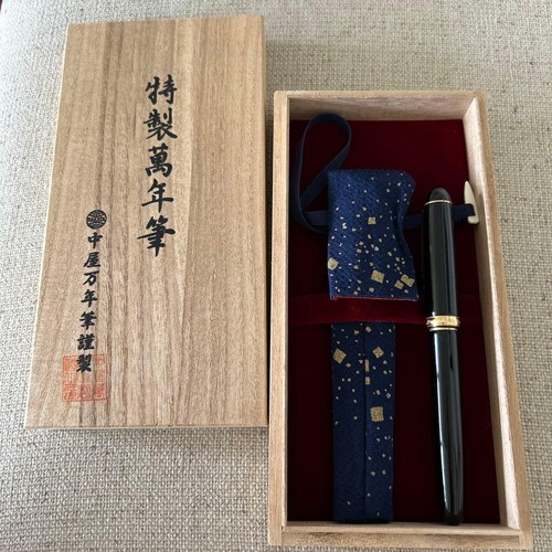 Stylo plume nakaya - plume,