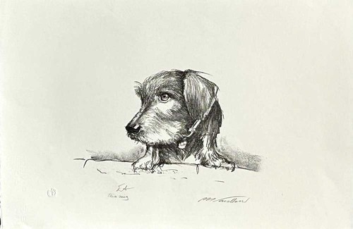 Artiste non identifie - non,