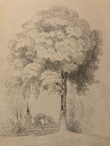 Beau dessin crayon - dessin,