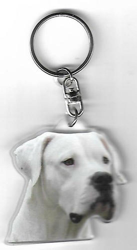 Dogue argentin porte clés - porte,