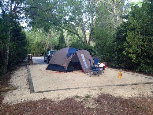 Field stream wilderness - &,