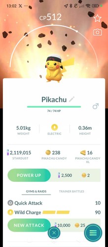 Pikachu brendan hat ruby - hat,
