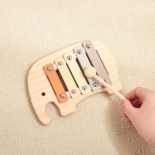 Xylophone échelles pour - xylophone, à