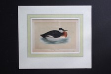 Gravure anglaise ancienne de