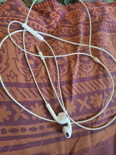 Ecouteurs filaires apple - ecouteurs,