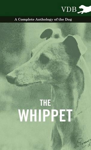 Various the whippet - -, a