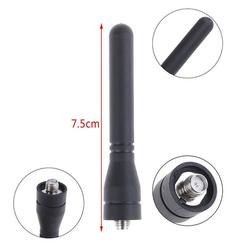 Antenne souple femme large