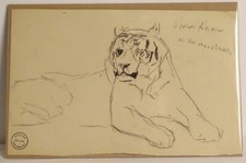 Dessin fusain animalier