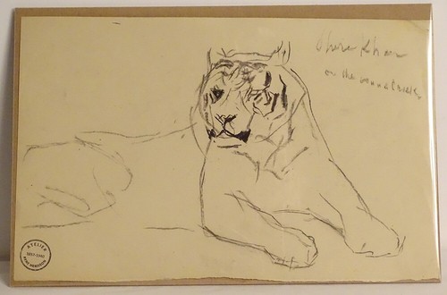 Dessin fusain animalier