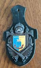 Insigne Sapeurs Pompiers