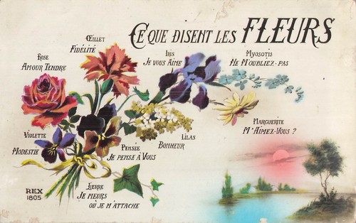 Que disent les - ce,