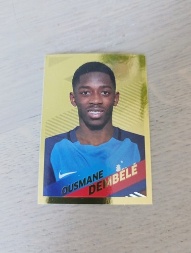 Panini carrefour family - carrefour,