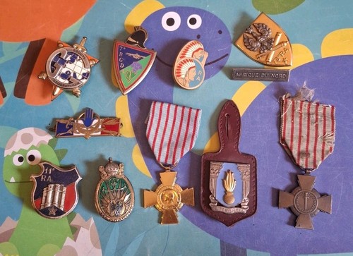 Lot insignes militaire - insignes,