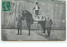 Un nain debout sur le dos d'un cheval - 9763