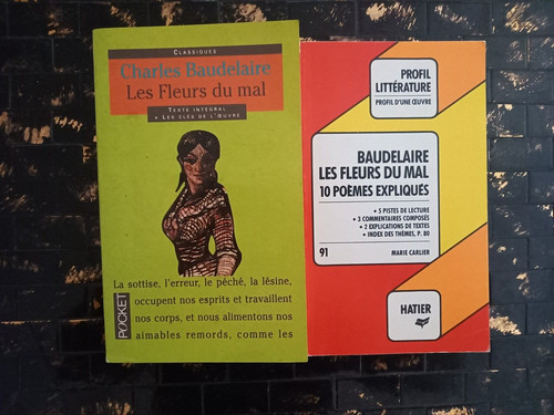 Les fleurs mal - +, profil