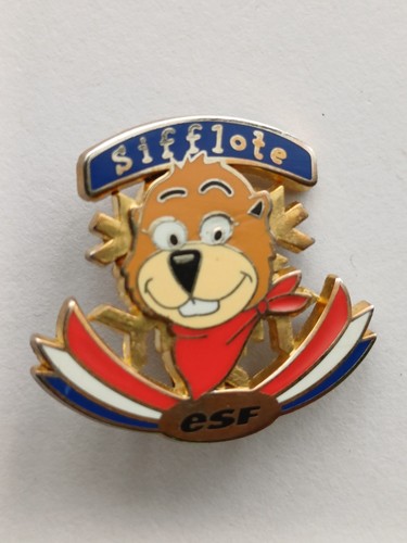 Broche épinglette ecole - ecole, de