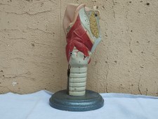 Anatomie Humaine Instruments