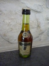 Mignonnette bouteille Martell