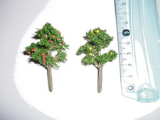 Arbres fruitiers miniatures