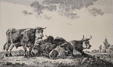 Gravure ancienne Vaches et