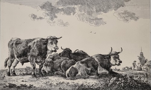 Gravure ancienne vaches - gravure, et