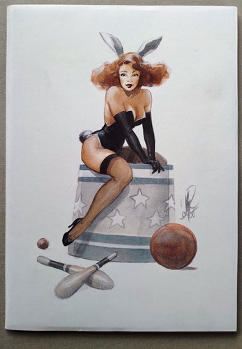 Varanda portfolio pin - -, pin-up