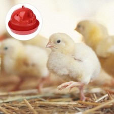  3 Pcs Mangeoire À Volaille