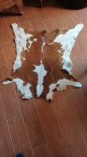 Cabinet de curiosité taxidermie peau de veau pas vache tapis