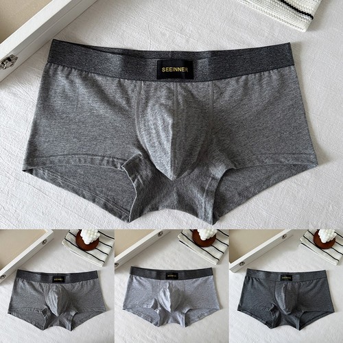 Boxer doux taille moyenne - , pour