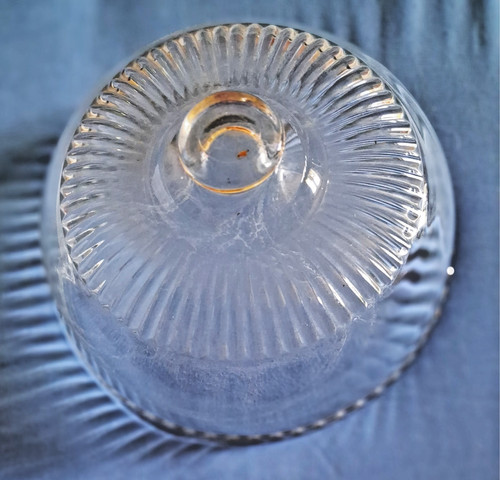 Cloche fromage fruits - cloche, à
