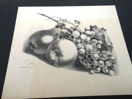 Dessins paire natures mortes - dessins,