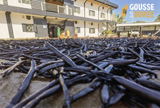 10 GOUSSES DE VANILLE BOURBON 13-15cm 