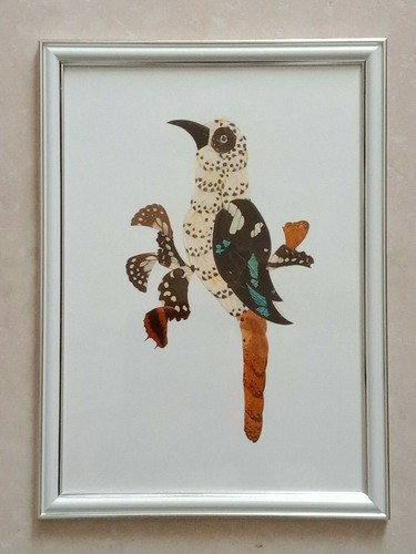 Tableau oiseau ailes de - oiseau, en