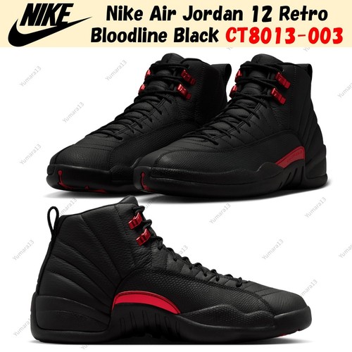 Nike air jordan - air, 12