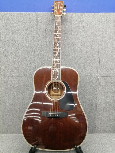 Guitare acoustique électrique