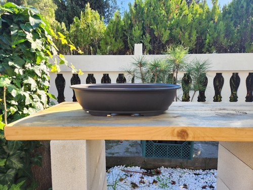 Pot bonsaï ovale en - bonsaï,