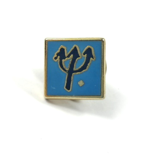 Pin pins club - med, logo