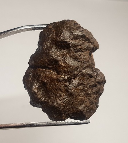 Meteorite chondrite nwa - meteorite,