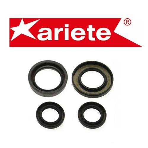 Joint spi moteur ariete - moteur,