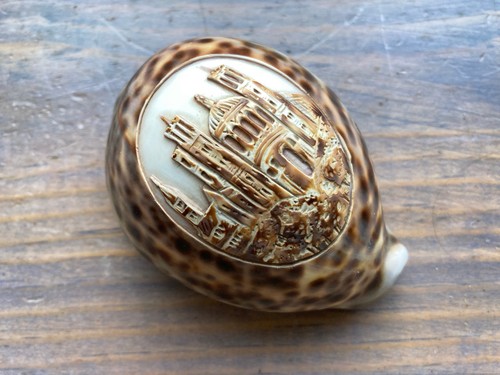 Coquillage gravé sculpté - , en