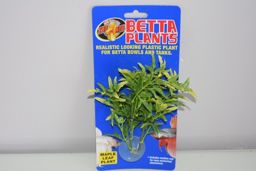 Aquarium betta plante petit - betta,
