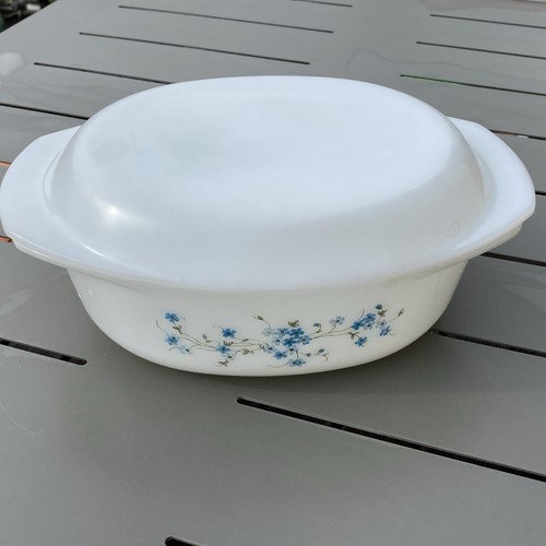 Cocotte arcopal veronica - cocotte,