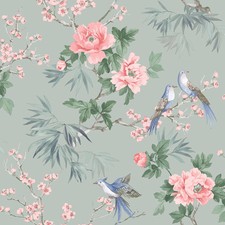 Papier peint oiseau - papier,