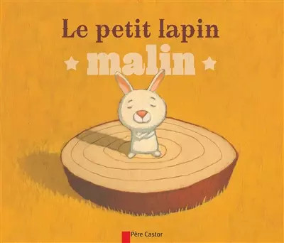 Petit lapin malin robert - le,