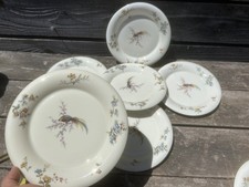 Théodore Haviland Galerie