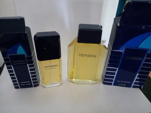 Trimaran yves rocher - rocher, eau