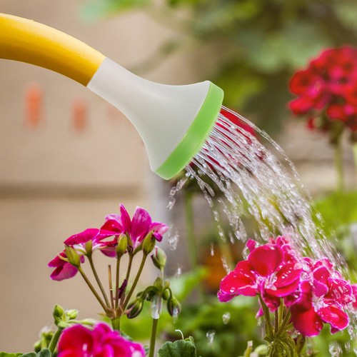 Vaporisateur jardin arrosage - vaporisateur,