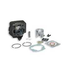 Cylindre Malossi D 47 Fonte